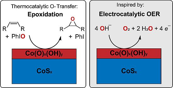 epoxidations 2024