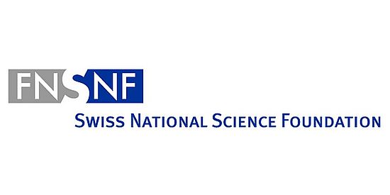 SNSF Logo