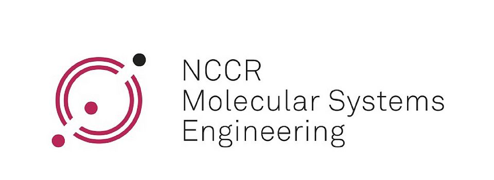 NCCR MSE