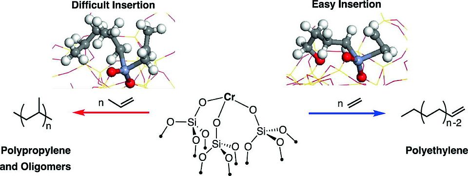 mechanistic insights TOC